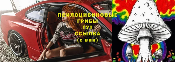 молекула духа Верея