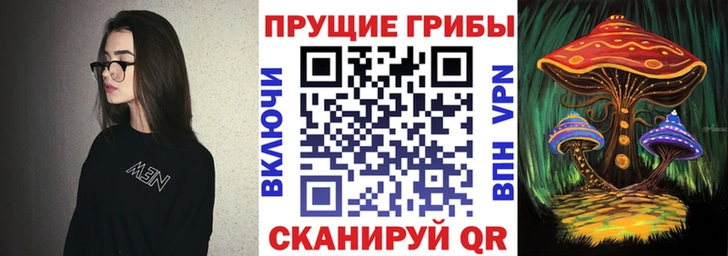 Купить  Усть-Джегута  Галлюциногенные грибы Psilocybine cubensis 